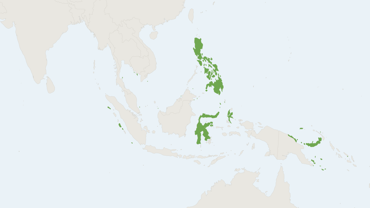 Range map of the Island Flying Fox (Pteropus hypomelanus)