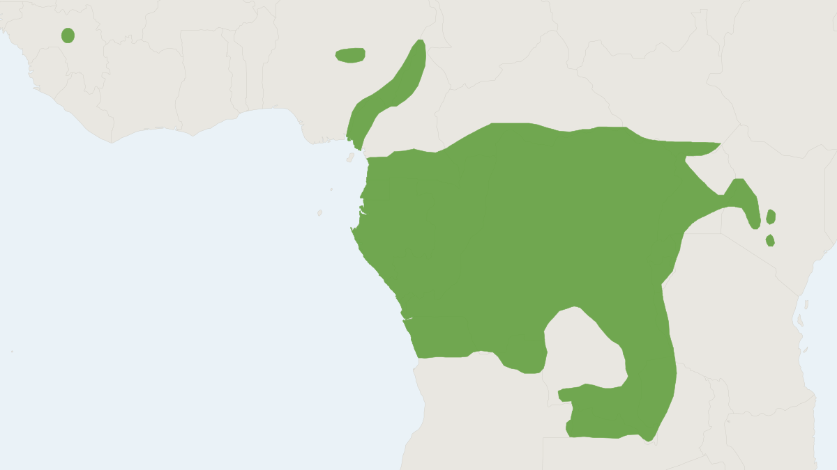 Range map of the Jackson's Praomys (Praomys jacksoni)