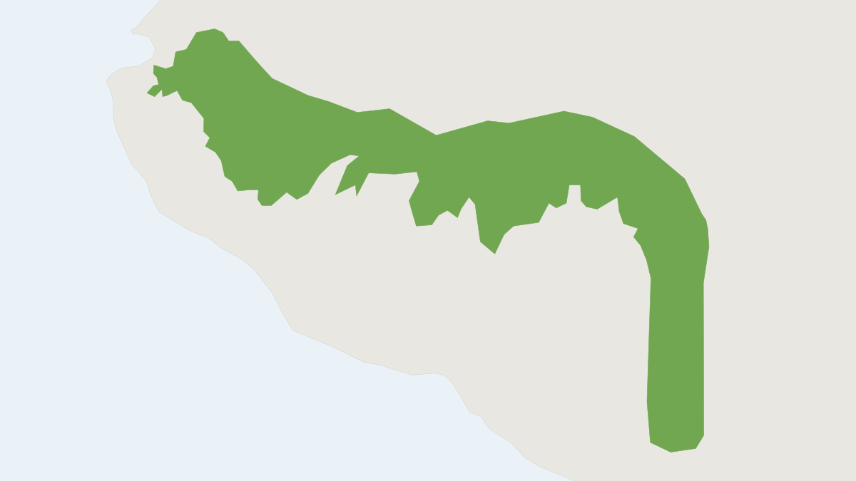 Range map of the Jalisco Shrew (Sorex mediopua)