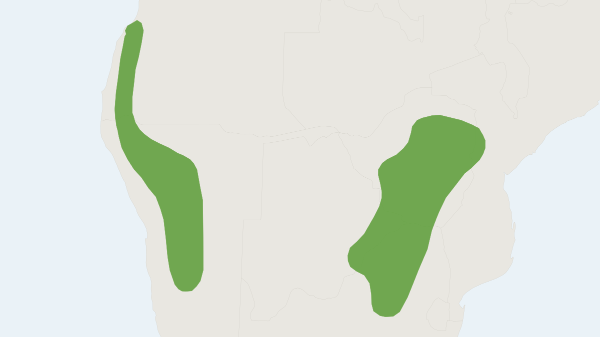 Range map of the Jameson's Red Rock Hare (Pronolagus randensis)