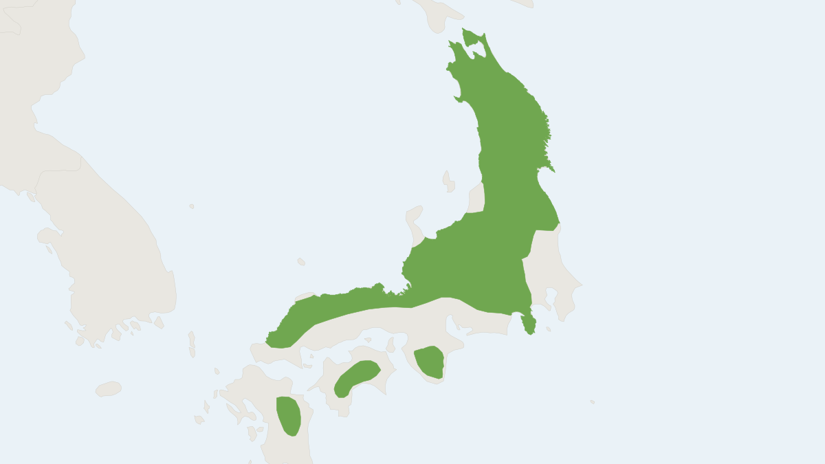 Range map of the Japanese Flying Squirrel (Pteromys momonga)