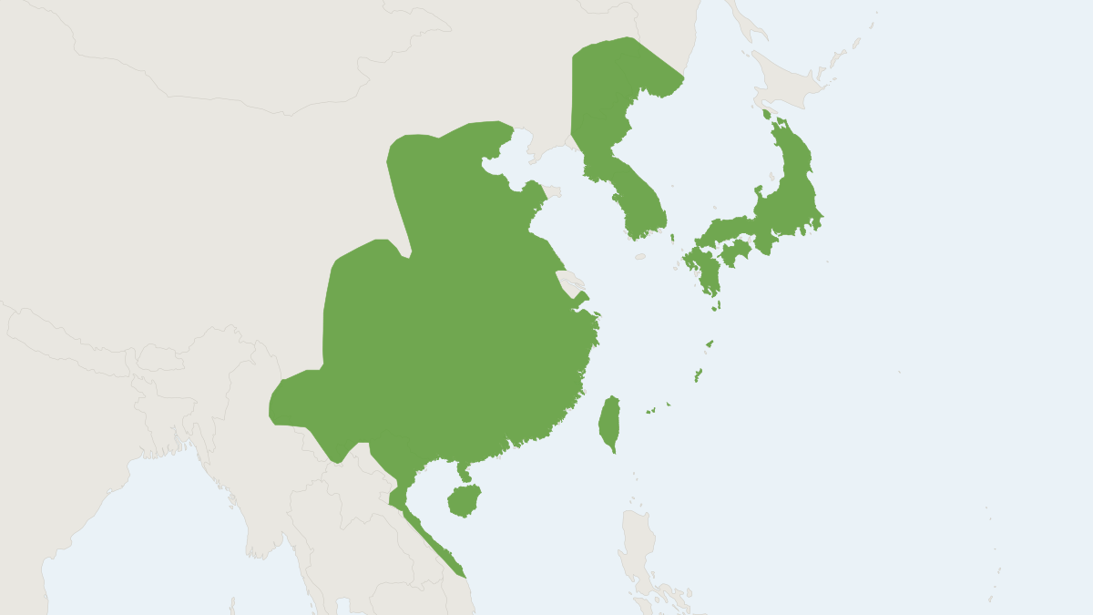 Range map of the Japanese Pipistrelle (Pipistrellus abramus)