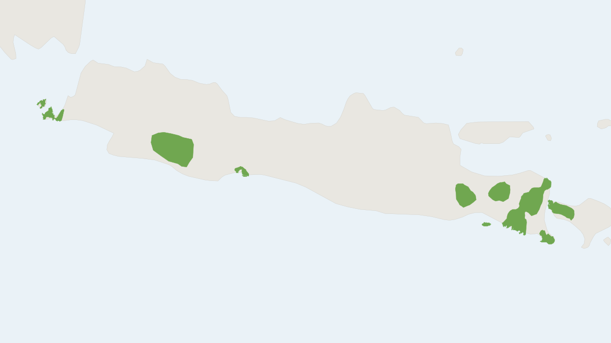 Range map of the Javan Deer (Rusa timorensis)