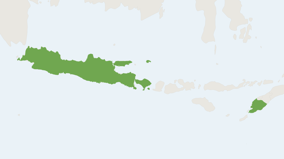 Range map of the Javan Slit-faced Bat (Nycteris javanica)