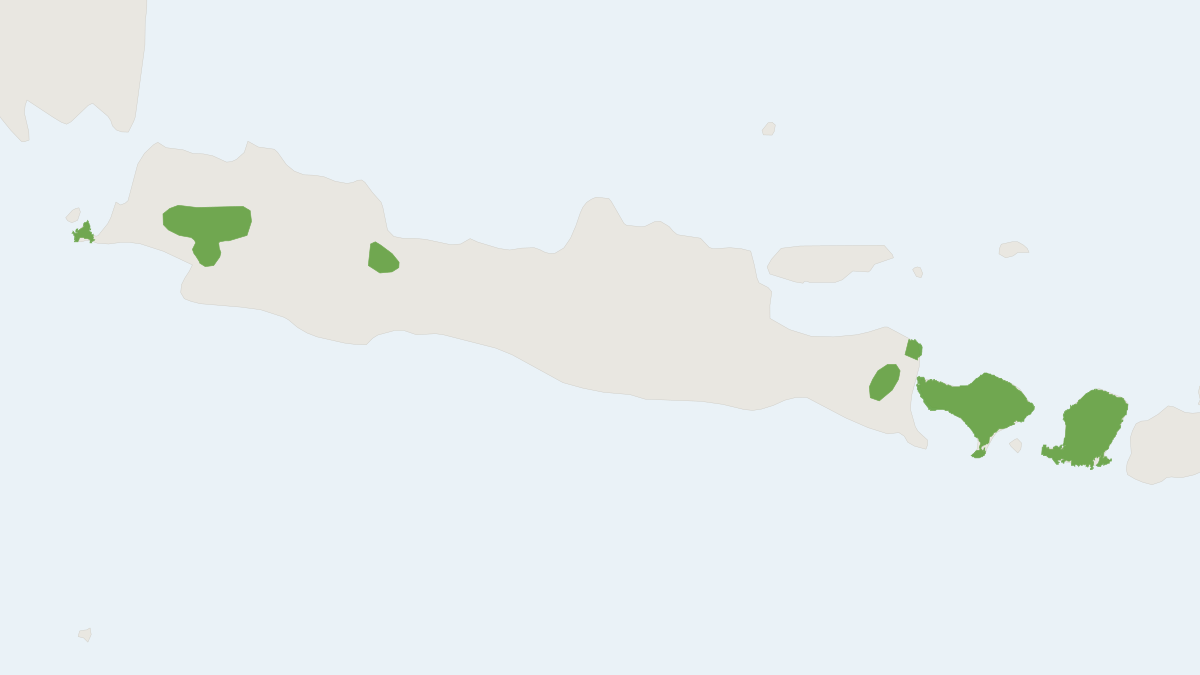 Range map of the Javan Tailless Fruit Bat (Megaerops kusnotoi)
