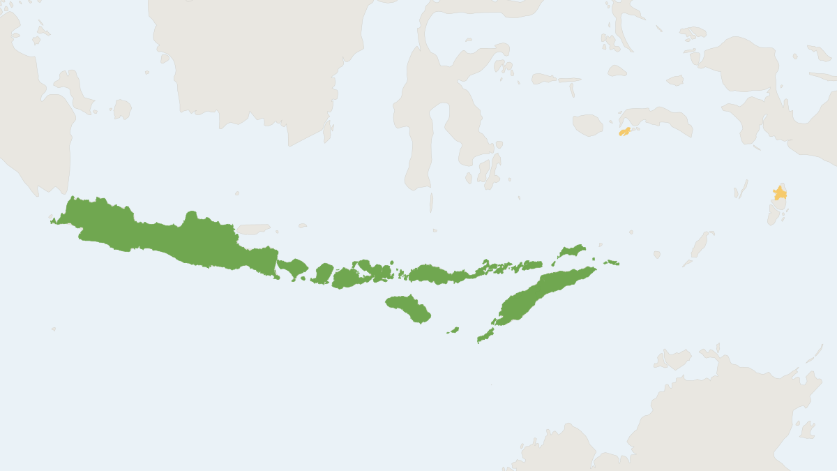 Range map of the Javanese Shrew (Crocidura maxi)