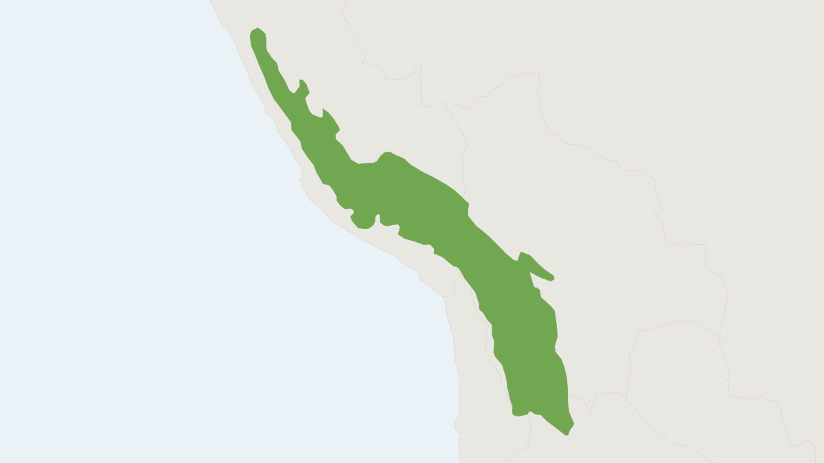 Range map of the Jelski's Altiplano Mouse (Abrothrix jelskii) covering Argentina, Bolivia and Chile