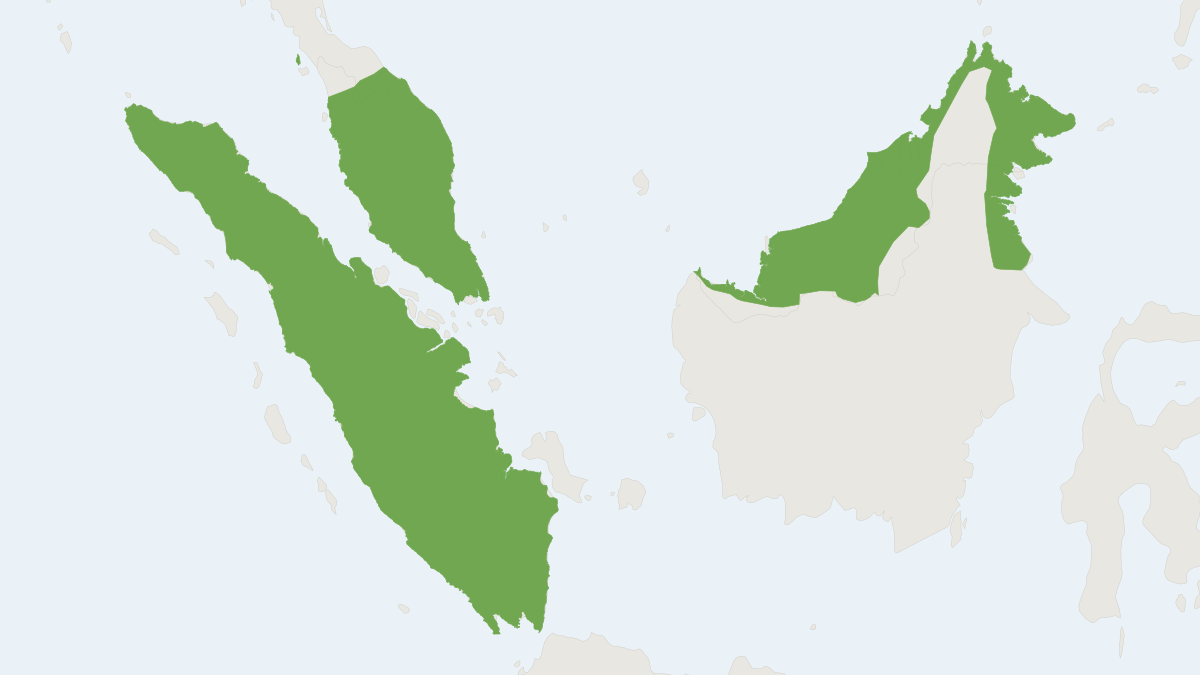 Range map of the Jentink's Flying Squirrel (Hylopetes platyurus)