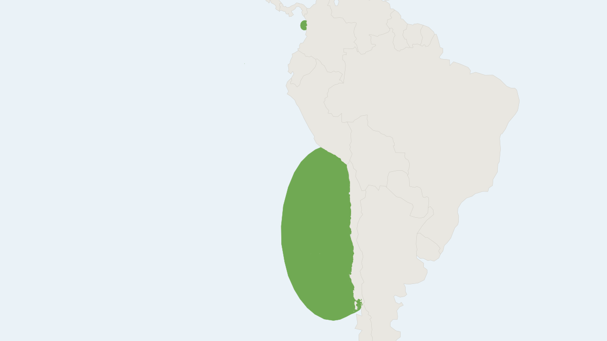 Range map of the Juan Fernández Fur Seal (Arctocephalus philippii) covering Chile