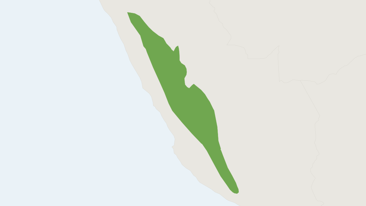 Range map of the Junin Grass Mouse (Akodon juninensis) covering Peru
