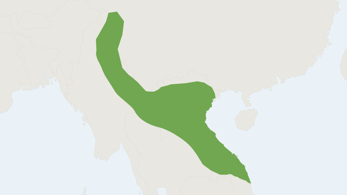 Range map of the Kachin Woolly Bat (Kerivoula kachinensis)