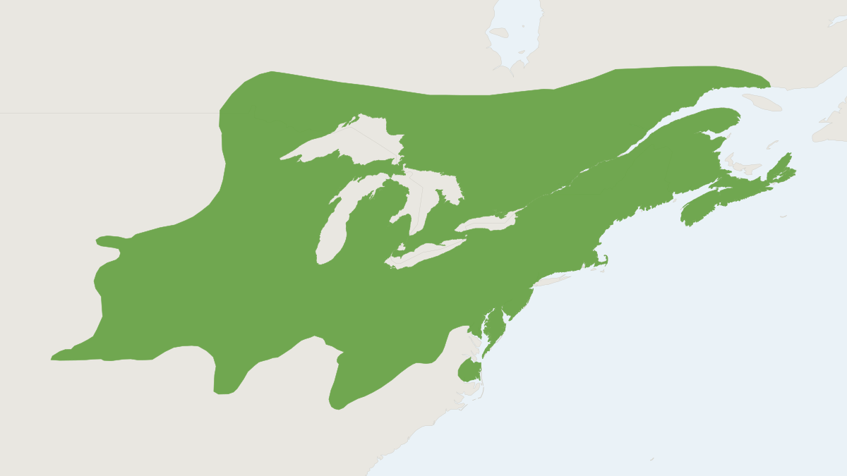 Range map of the Kansas Bog Lemming (Synaptomys cooperi)