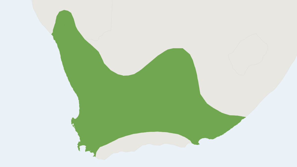 Range map of the Karoo Vlei Rat (Otomys unisulcatus)