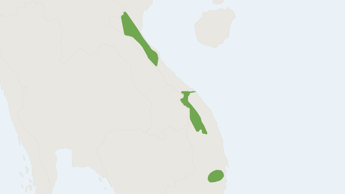 Range map of the Ke Go White-toothed Shrew (Crocidura kegoensis)