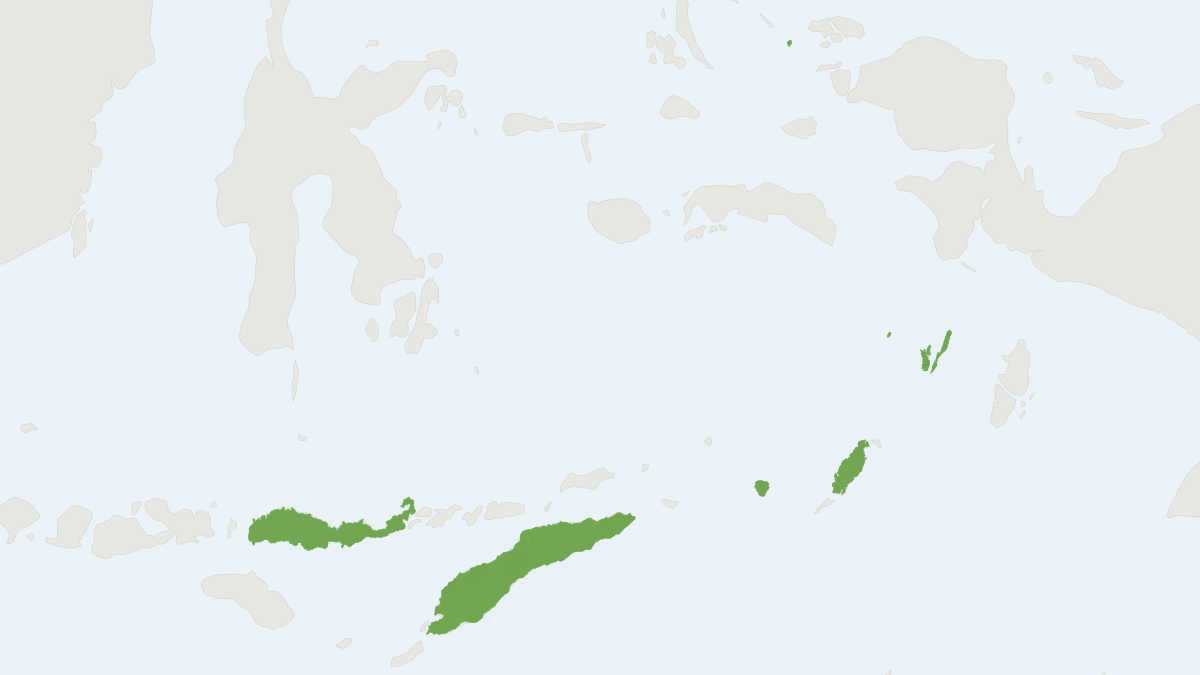 Range map of the Keast's Tube-nosed Fruit Bat (Nyctimene keasti)