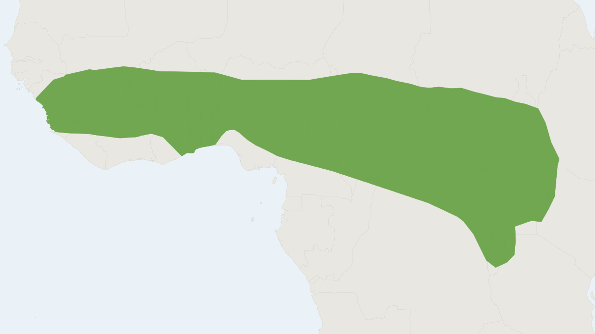 Range map of the Kemp's Gerbil (Gerbilliscus kempi)