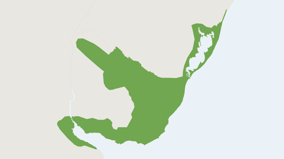 Range map of the Kemp's Grass Mouse (Deltamys kempi) covering Argentina and Uruguay
