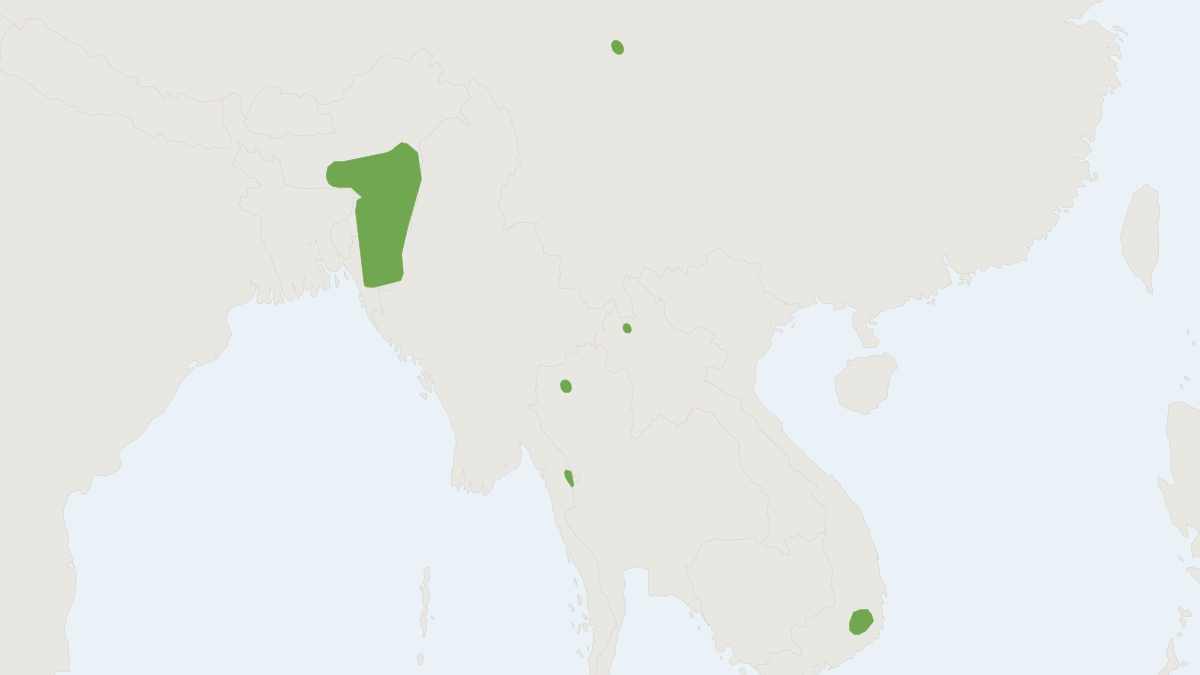 Range map of the Kenneth's White-toothed Rat (Berylmys mackenziei) covering China, Myanmar and Thailand