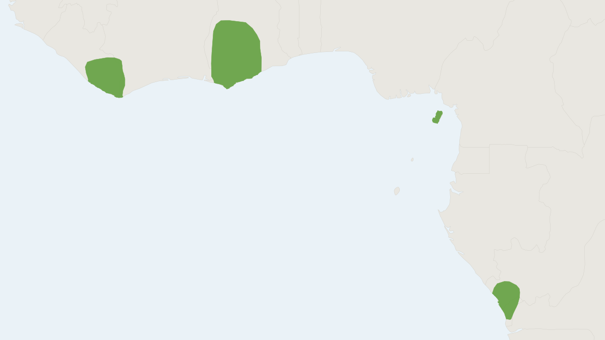 Range map of the King Genet (Genetta poensis)