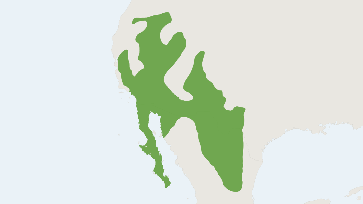 Range map of the Kit Fox (Vulpes macrotis)