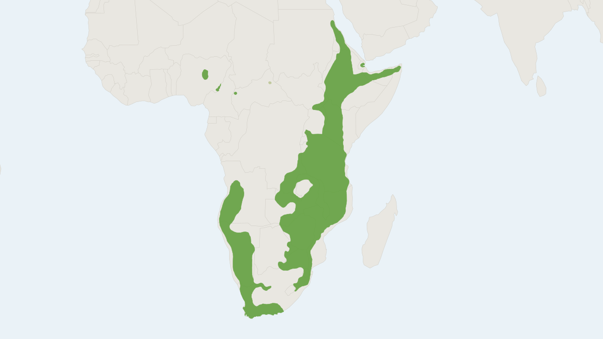 Range map of the Klipspringer (Oreotragus oreotragus) covering Botswana, Democratic Republic of the Congo and Ethiopia