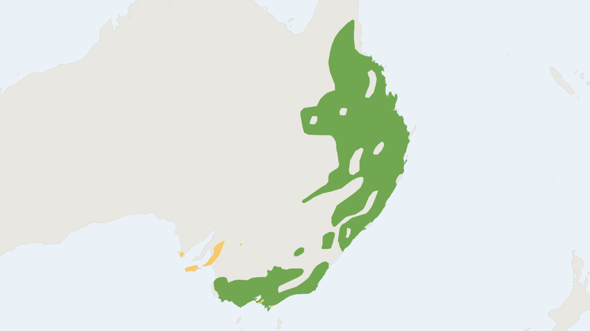 Range map of the Koala (Phascolarctos cinereus) covering Australia and United Kingdom