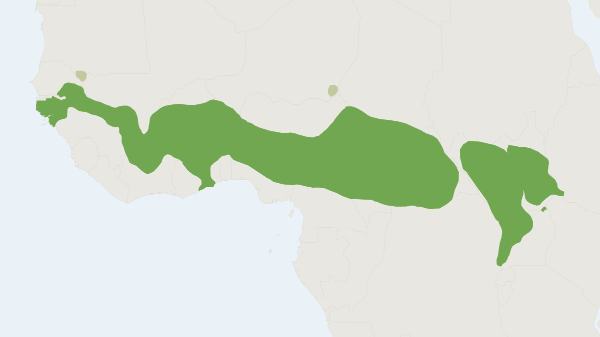 Range map of the Kob (Kobus kob)