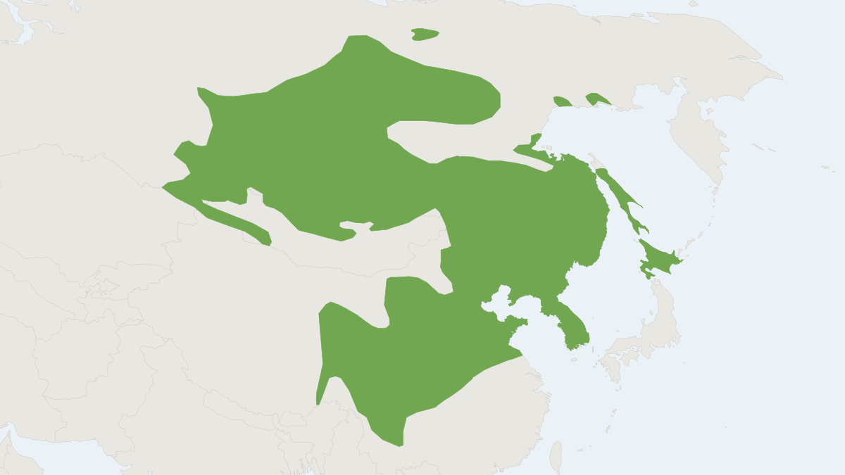 Range map of the Korean Field Mouse (Apodemus peninsulae) covering China, Kazakhstan and Mongolia
