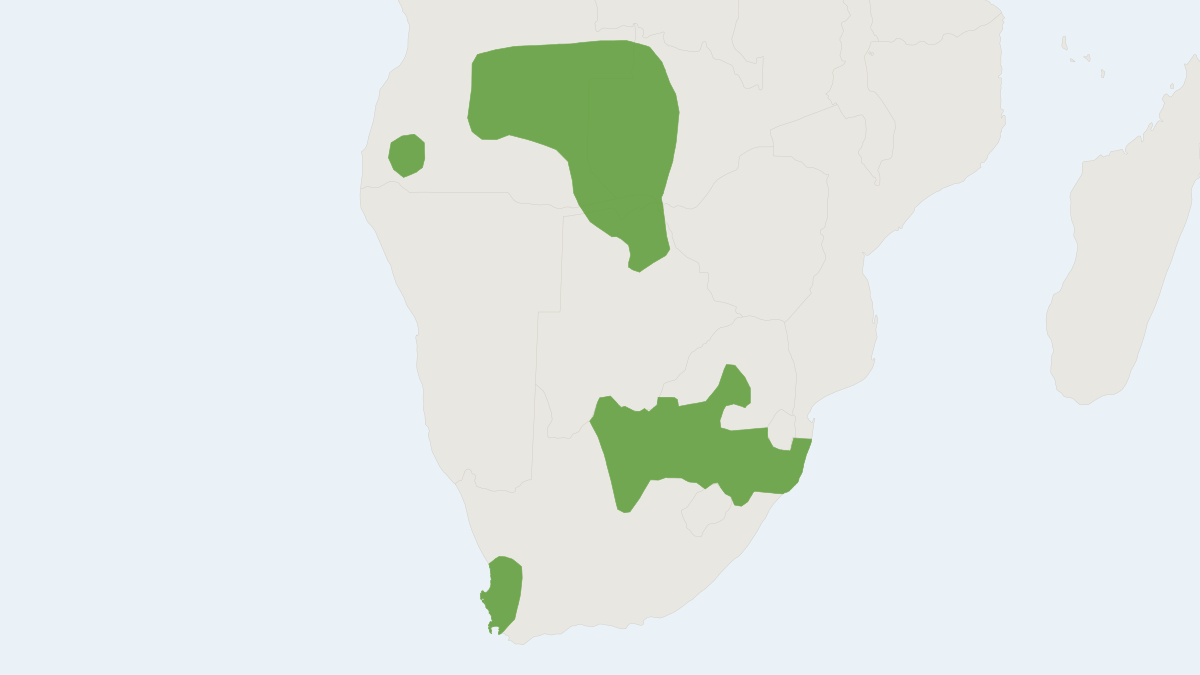 Range map of the Krebs's African Fat Mouse (Steatomys krebsii)