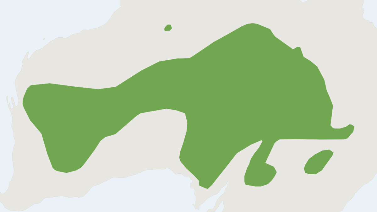 Range map of the Kultarr (Antechinomys laniger) covering Australia and United Kingdom