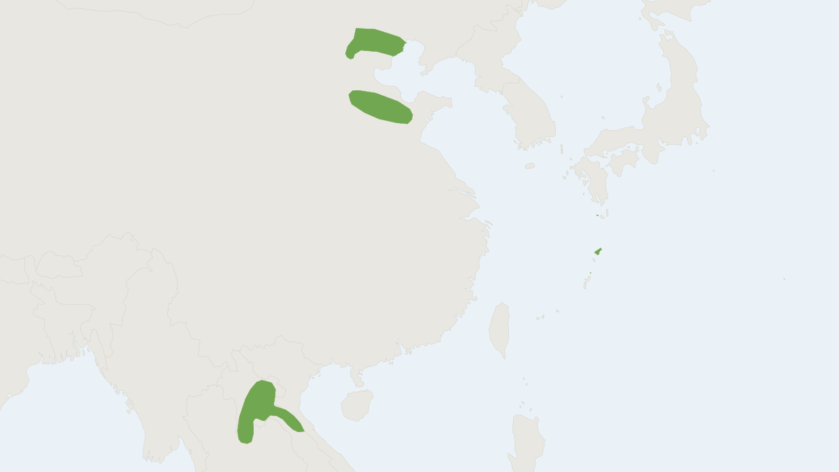 Range map of the La Touche's Free-tailed Bat (Tadarida latouchei)