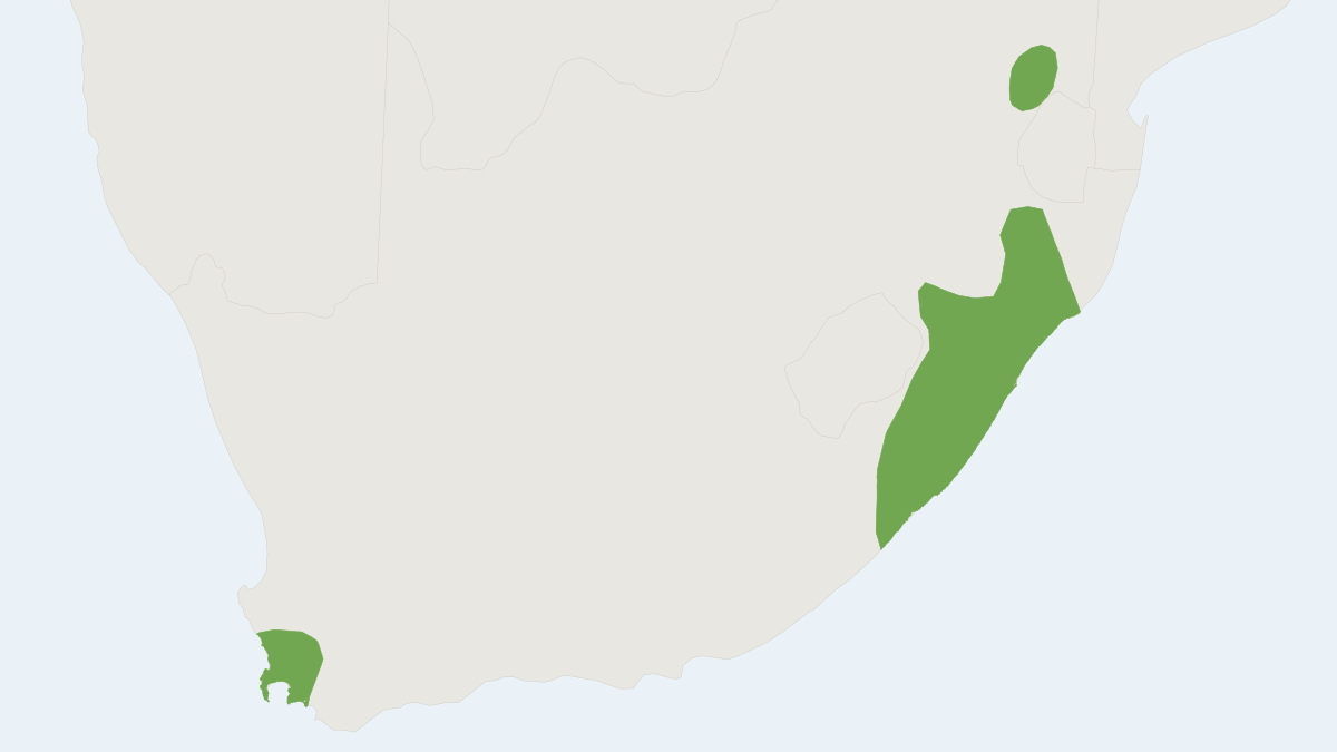 Range map of the Laminate Vlei Rat (Otomys laminatus)