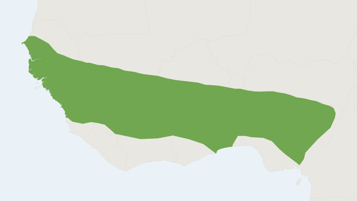 Range map of the Lamotte's Shrew (Crocidura lamottei)