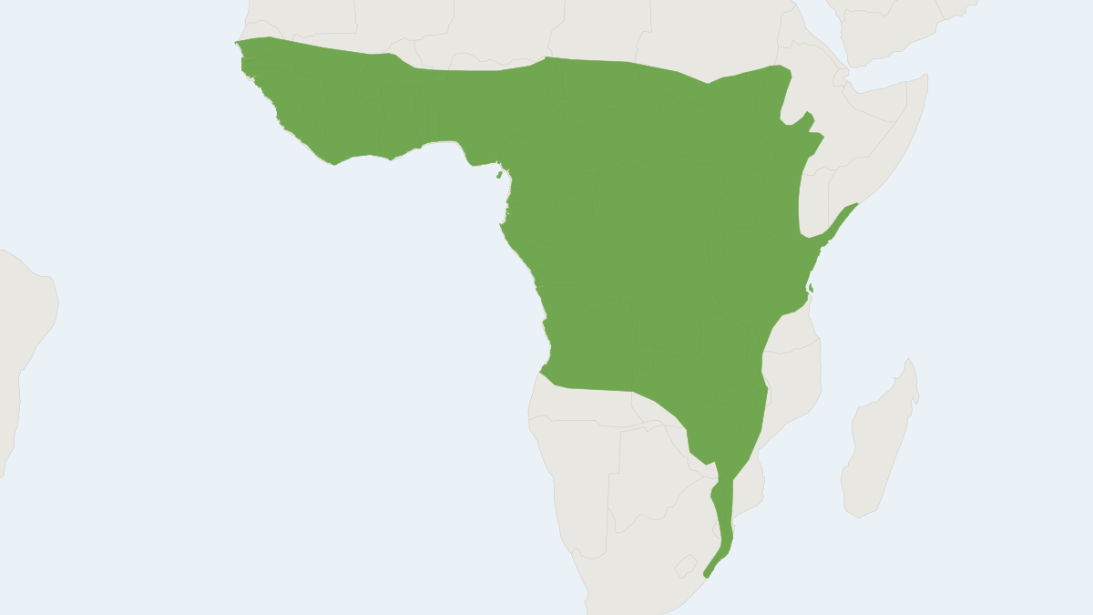 Range map of the Lander's Horseshoe Bat (Rhinolophus landeri)