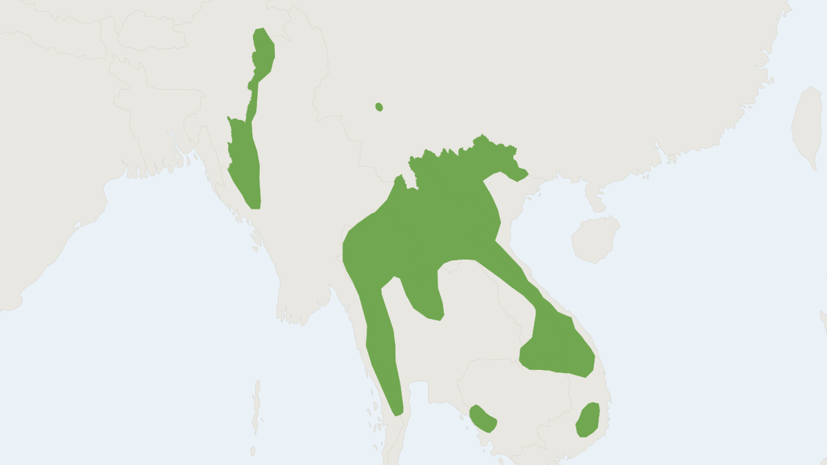 Range map of the Lang Bian White-bellied Rat (Niviventer langbianis)