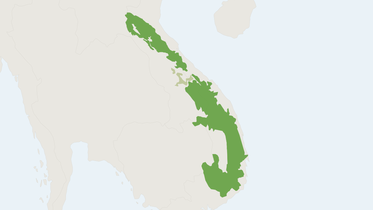 Range map of the Large-antlered Muntjac (Muntiacus vuquangensis)