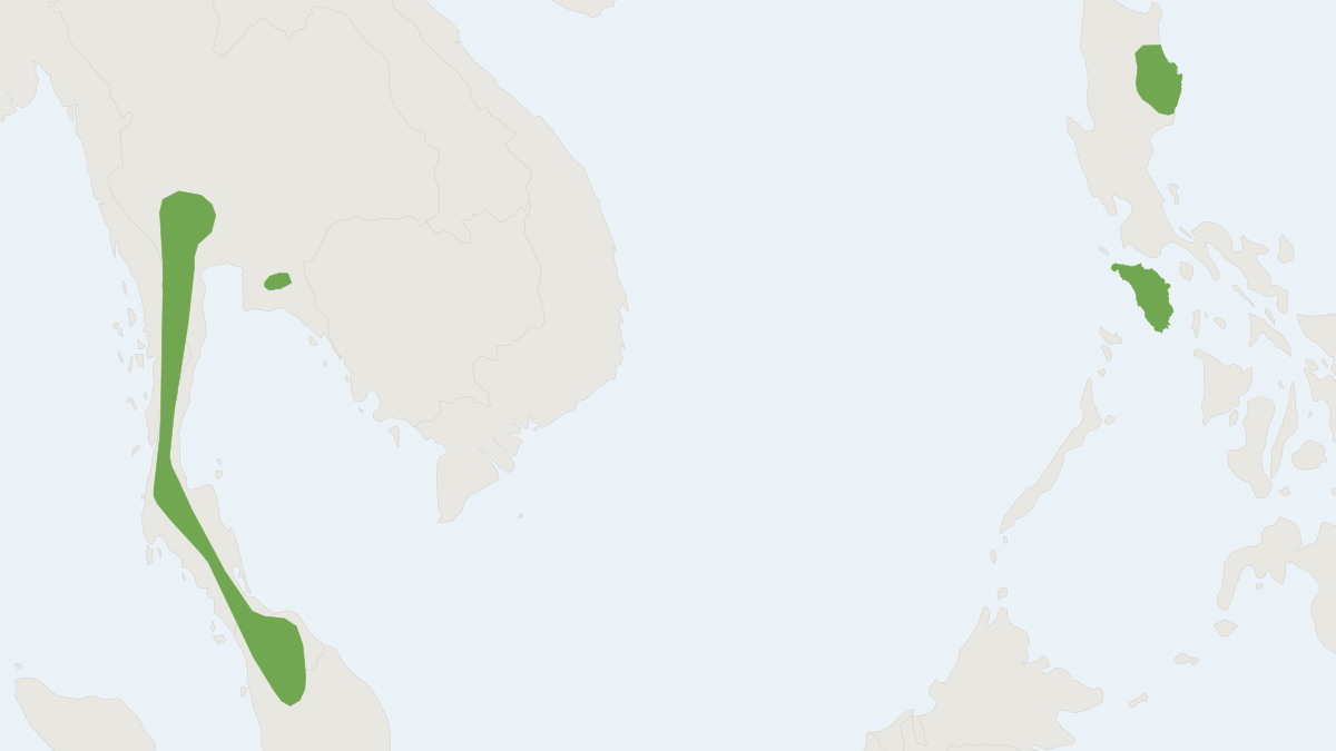 Range map of the Large Asian Leaf-nosed Bat (Hipposideros lekaguli)