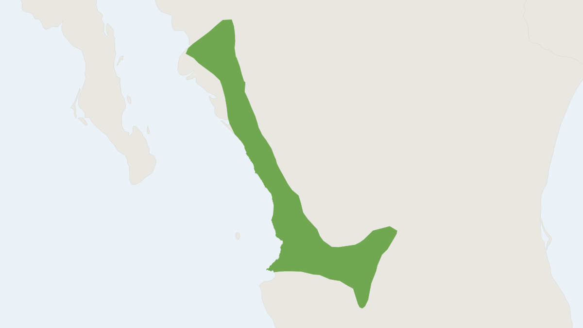 Range map of the Large-eared Grey Shrew (Notiosorex evotis)
