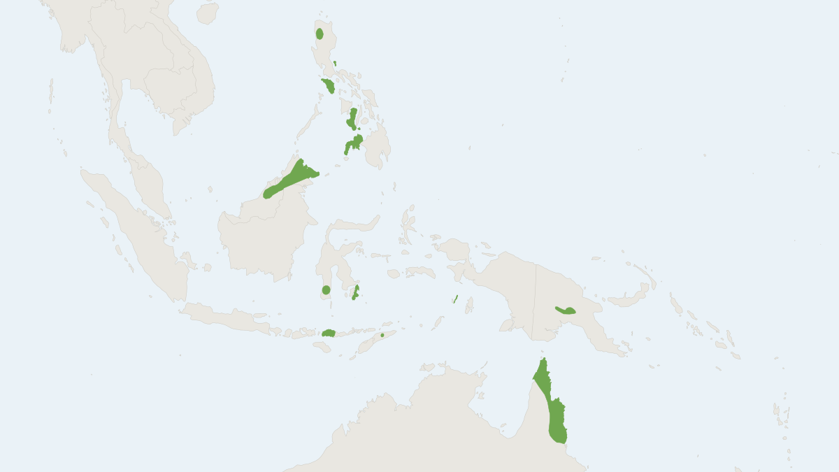 Range map of the Large-eared Horseshoe Bat (Rhinolophus philippinensis)