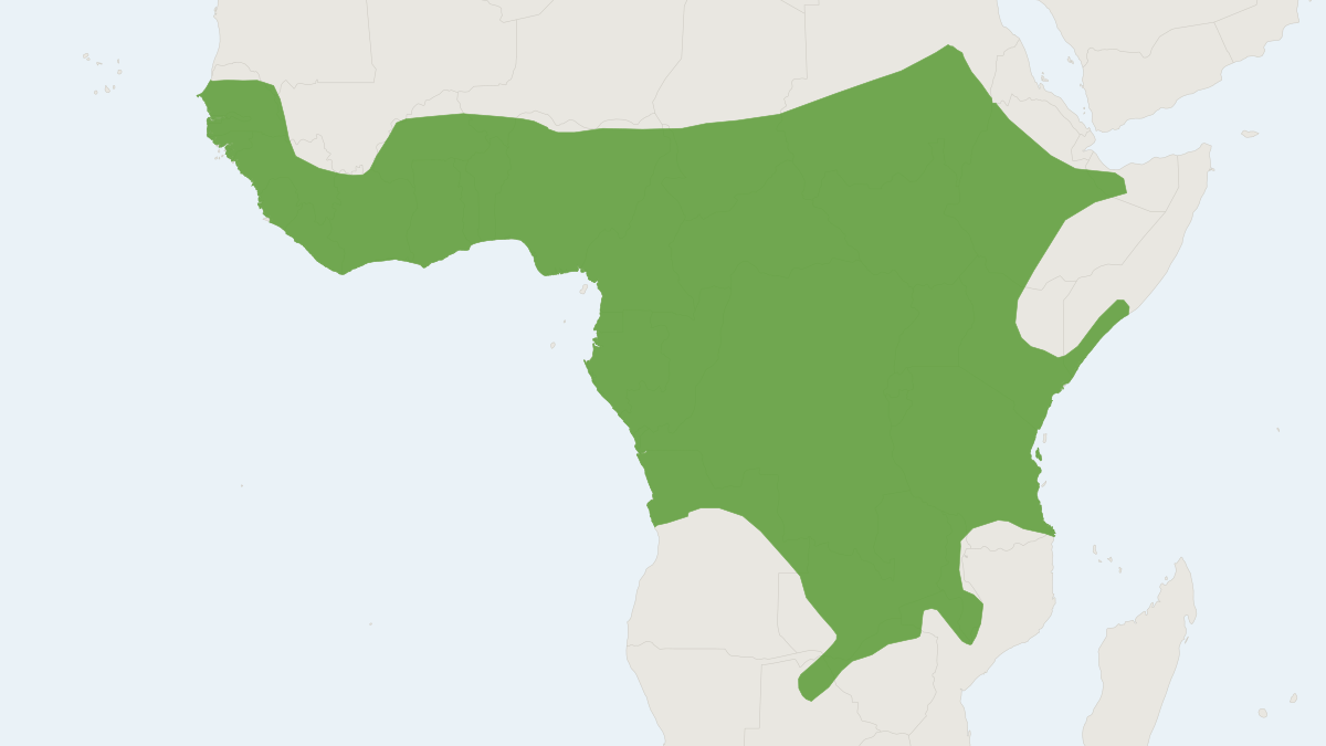 Range map of the Large-eared Slit-faced Bat (Nycteris macrotis)
