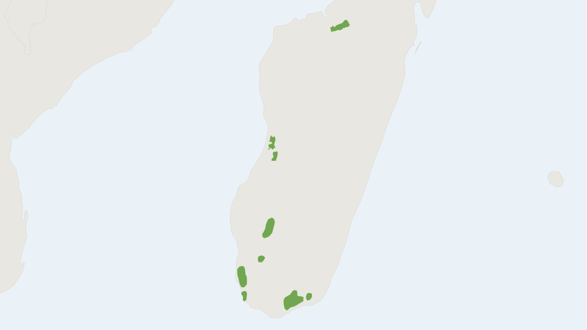 Range map of the Large-eared Tenrec (Geogale aurita)