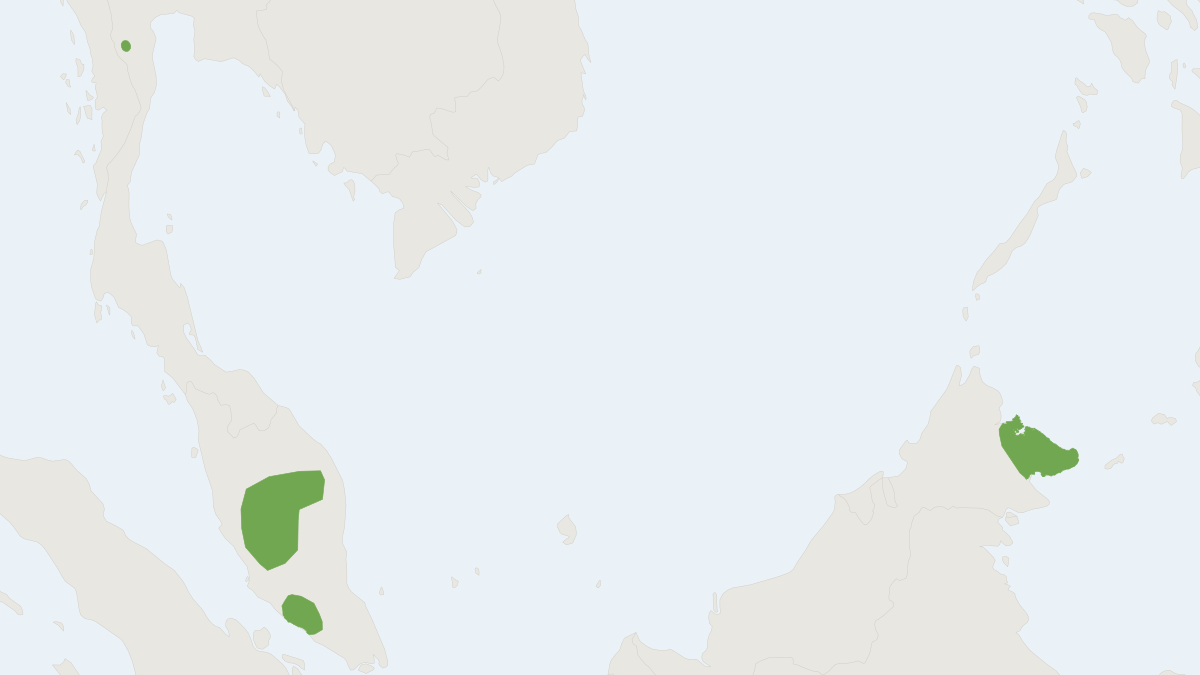 Range map of the Large False Serotine (Hesperoptenus tomesi)