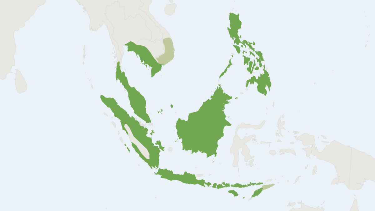 Range map of the Large Flying-fox (Pteropus vampyrus) covering Brunei, Indonesia and Malaysia