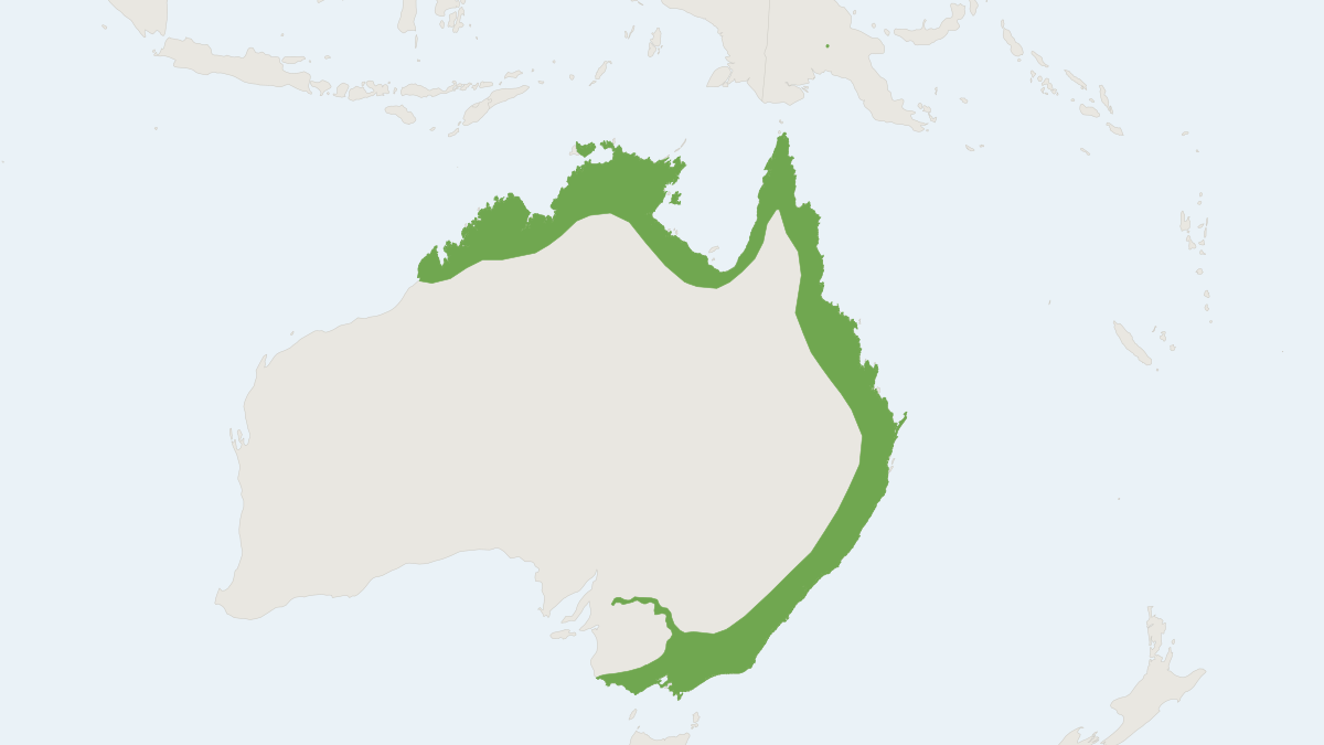 Range map of the Large-footed Myotis (Myotis macropus)