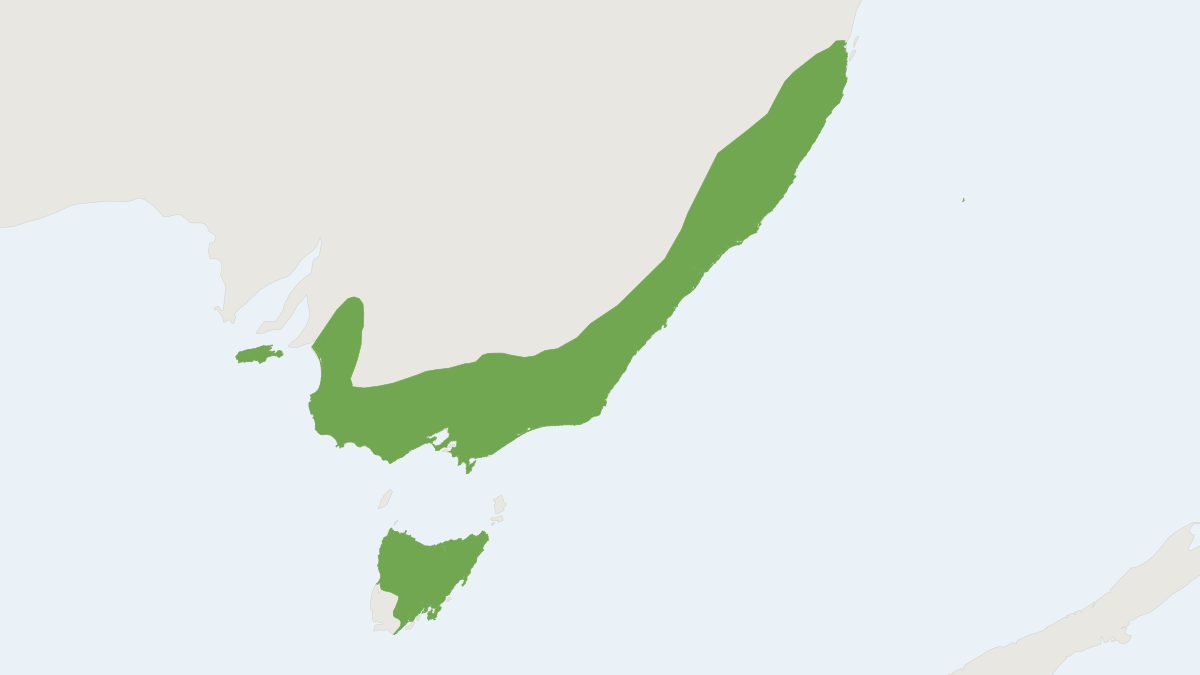 Range map of the Large Forest Bat (Vespadelus darlingtoni)