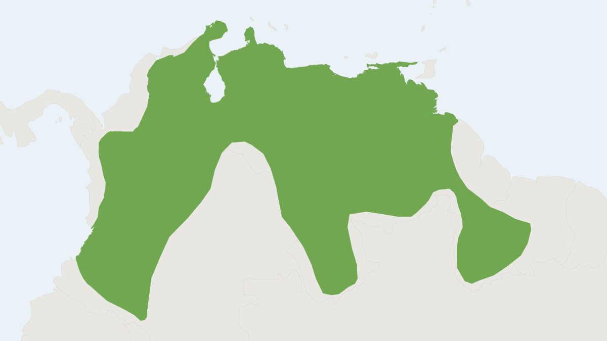 Range map of the Large Fruit-eating Bat (Artibeus amplus) covering Brazil, Colombia and Guyana