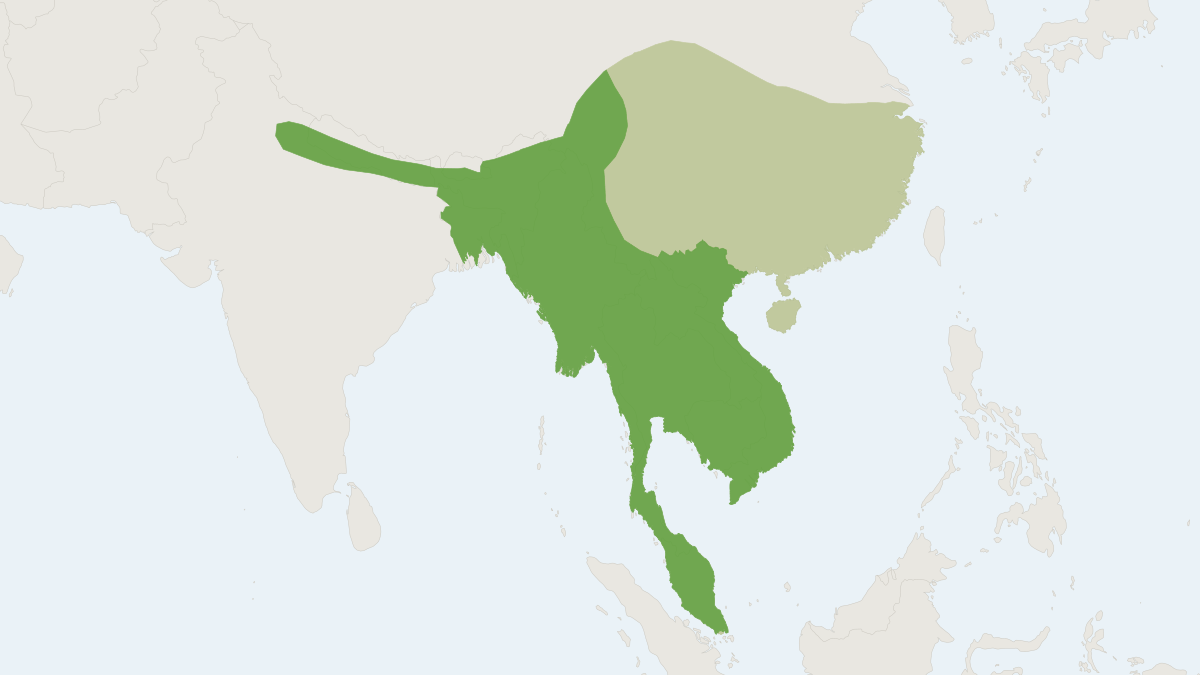 Range map of the Large Indian Civet (Viverra zibetha)