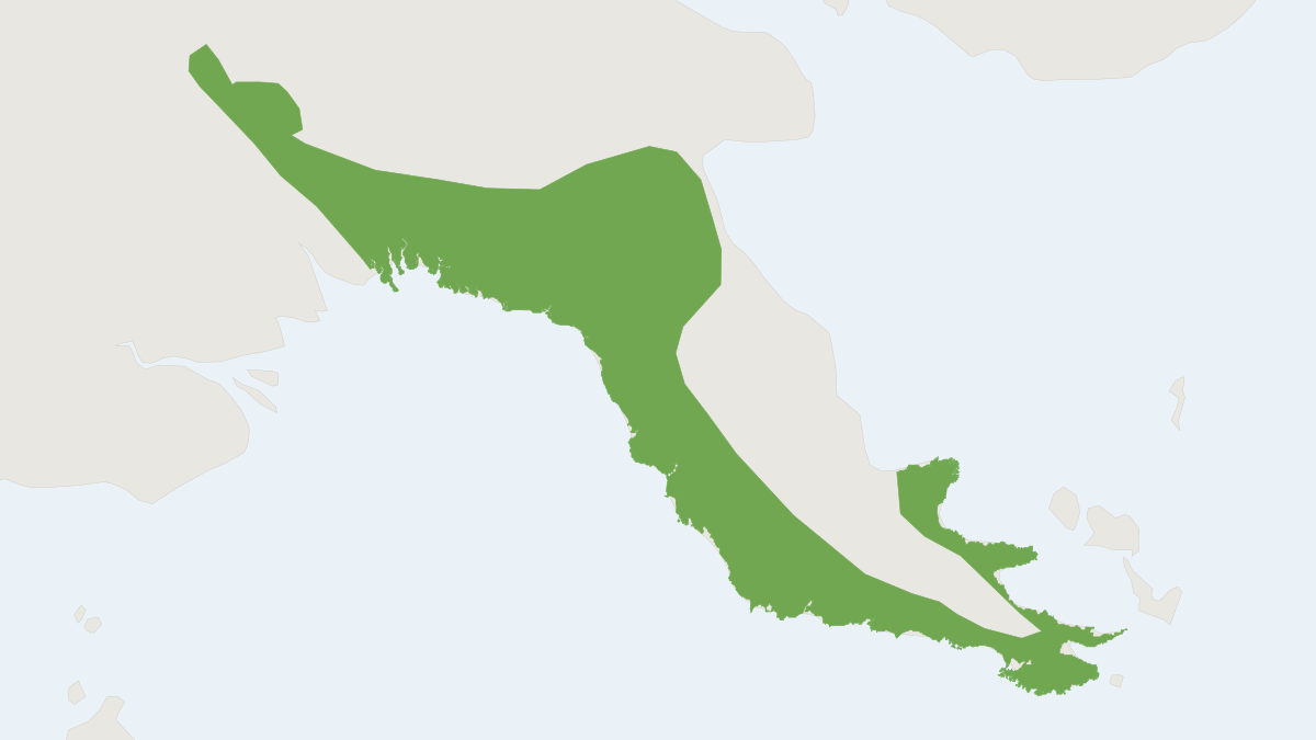 Range map of the Large Leptomys (Leptomys elegans)