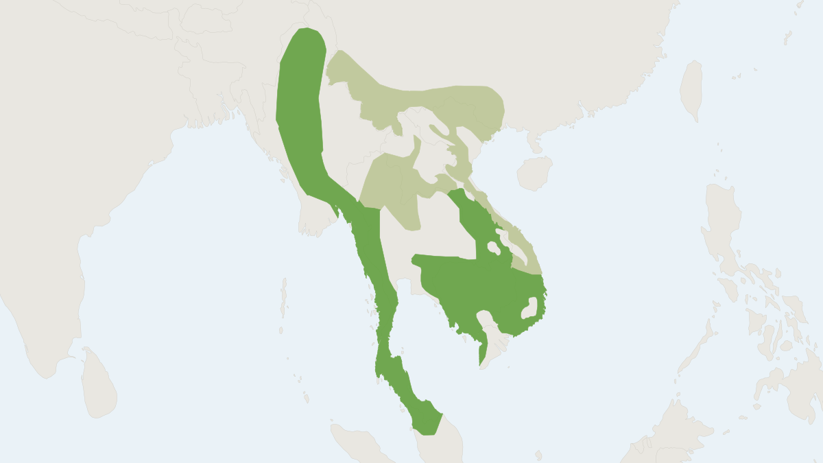 Range map of the Large-spotted Civet (Viverra megaspila)