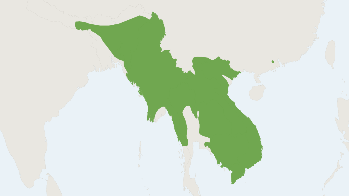 Range map of the Large-toothed Ferret Badger (Melogale personata)